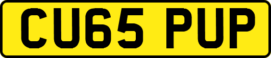 CU65PUP