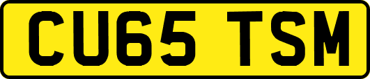 CU65TSM
