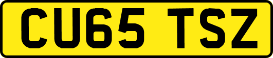 CU65TSZ