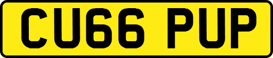 CU66PUP