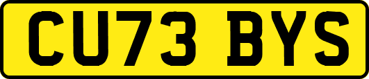 CU73BYS