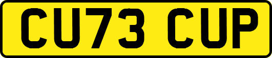 CU73CUP