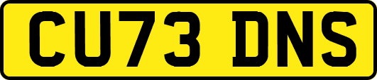 CU73DNS