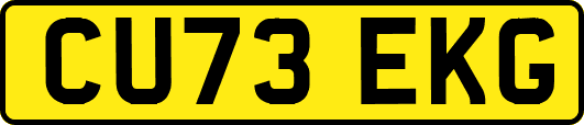 CU73EKG