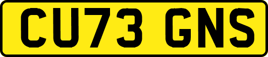 CU73GNS