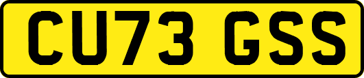 CU73GSS