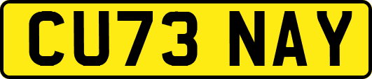 CU73NAY