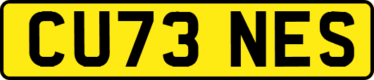 CU73NES