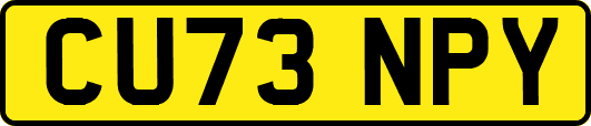 CU73NPY