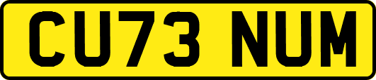 CU73NUM