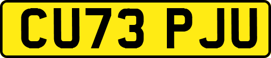 CU73PJU