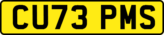 CU73PMS