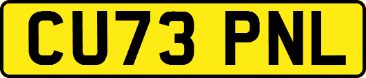 CU73PNL