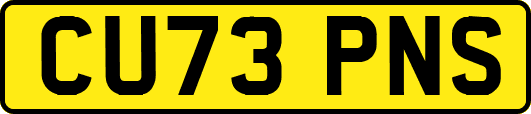 CU73PNS
