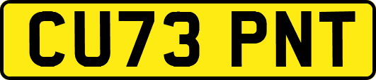 CU73PNT