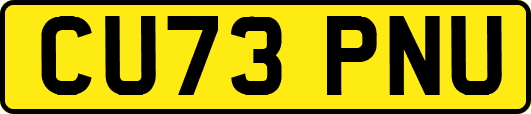 CU73PNU