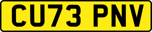 CU73PNV