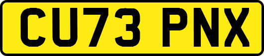 CU73PNX