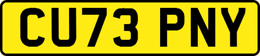 CU73PNY