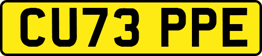 CU73PPE