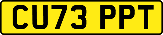 CU73PPT
