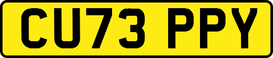 CU73PPY