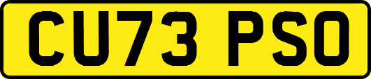 CU73PSO