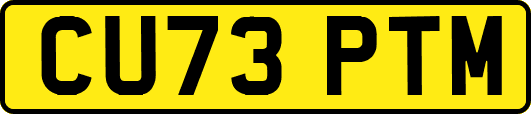 CU73PTM