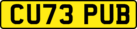CU73PUB