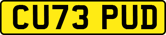 CU73PUD