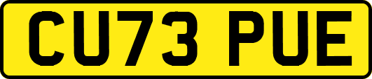 CU73PUE