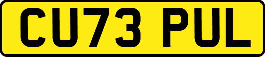 CU73PUL