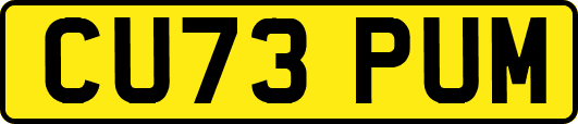 CU73PUM