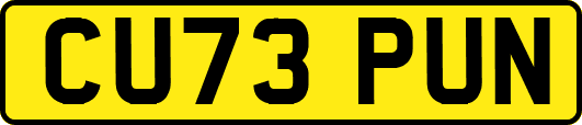 CU73PUN