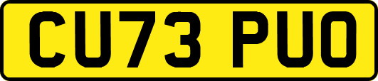 CU73PUO