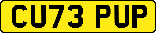 CU73PUP