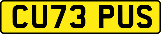 CU73PUS
