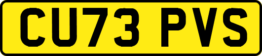 CU73PVS