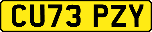 CU73PZY