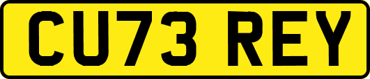 CU73REY