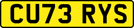 CU73RYS