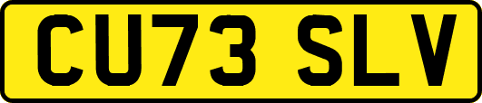 CU73SLV
