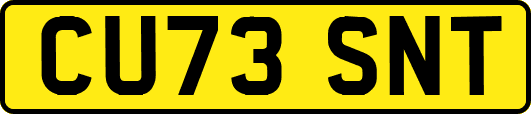 CU73SNT