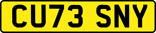 CU73SNY