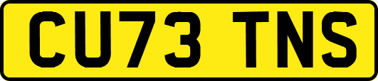 CU73TNS