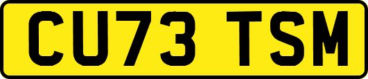 CU73TSM