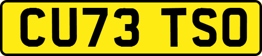 CU73TSO