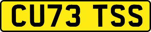 CU73TSS