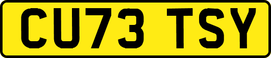 CU73TSY