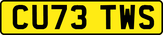 CU73TWS